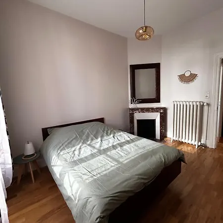 Апартаменты De Charme En Plein Centre Avec Spacieux Garage Prive Клермон-Ферран